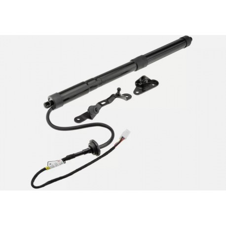 Ammortizzatore pistone bagagliaio baule portellone posteriore TOYOTA RAV4, 2013 2014 2015 2016 2017 2018, oem 6891009010