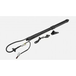 Ammortizzatore pistone bagagliaio baule portellone posteriore TOYOTA RAV4, 2013 2014 2015 2016 2017 2018, oem 6892009010