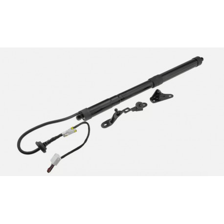 Ammortizzatore pistone bagagliaio baule portellone posteriore TOYOTA RAV4, 2013 2014 2015 2016 2017 2018, oem 6892009010